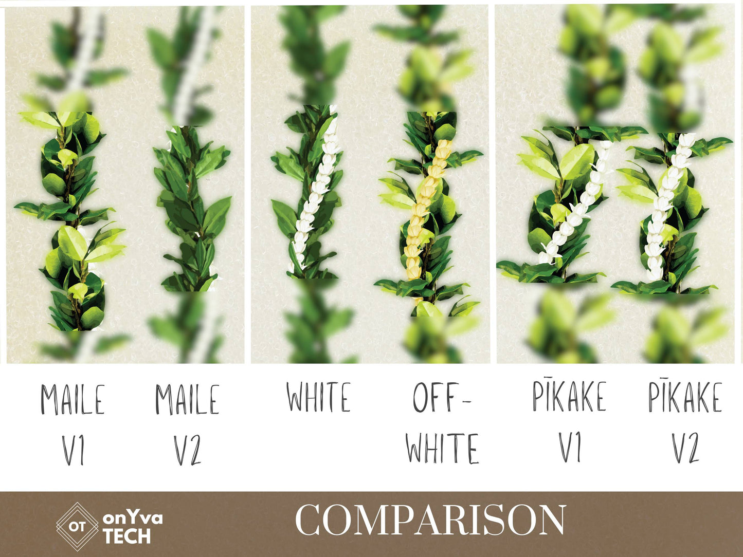 Maile Pikake 3-strand Lei | Hawaiian Frame PNG Liʻiliʻi Pack | Digital Download
