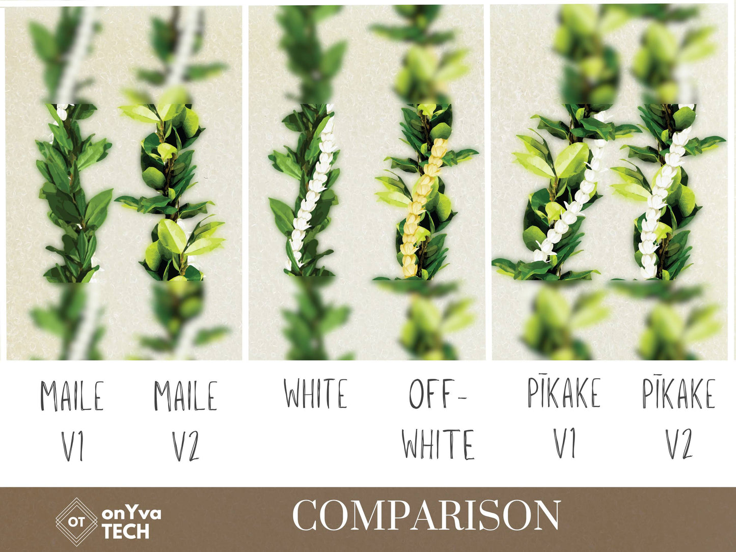 Maile Pikake 3-strand Lei | Hawaiian PNG Decorative Element Set | Digital Download