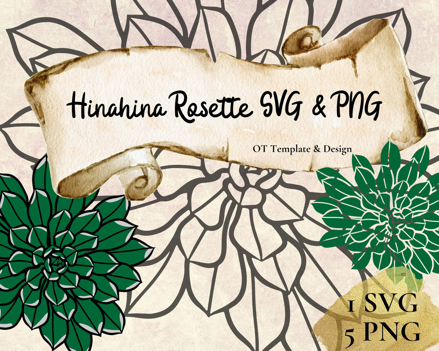 Hinahina Leaf Rosette Beach Heliotrope Plant SVG PNG | Hawaiian Nature Clipart Bundle | Digital Download