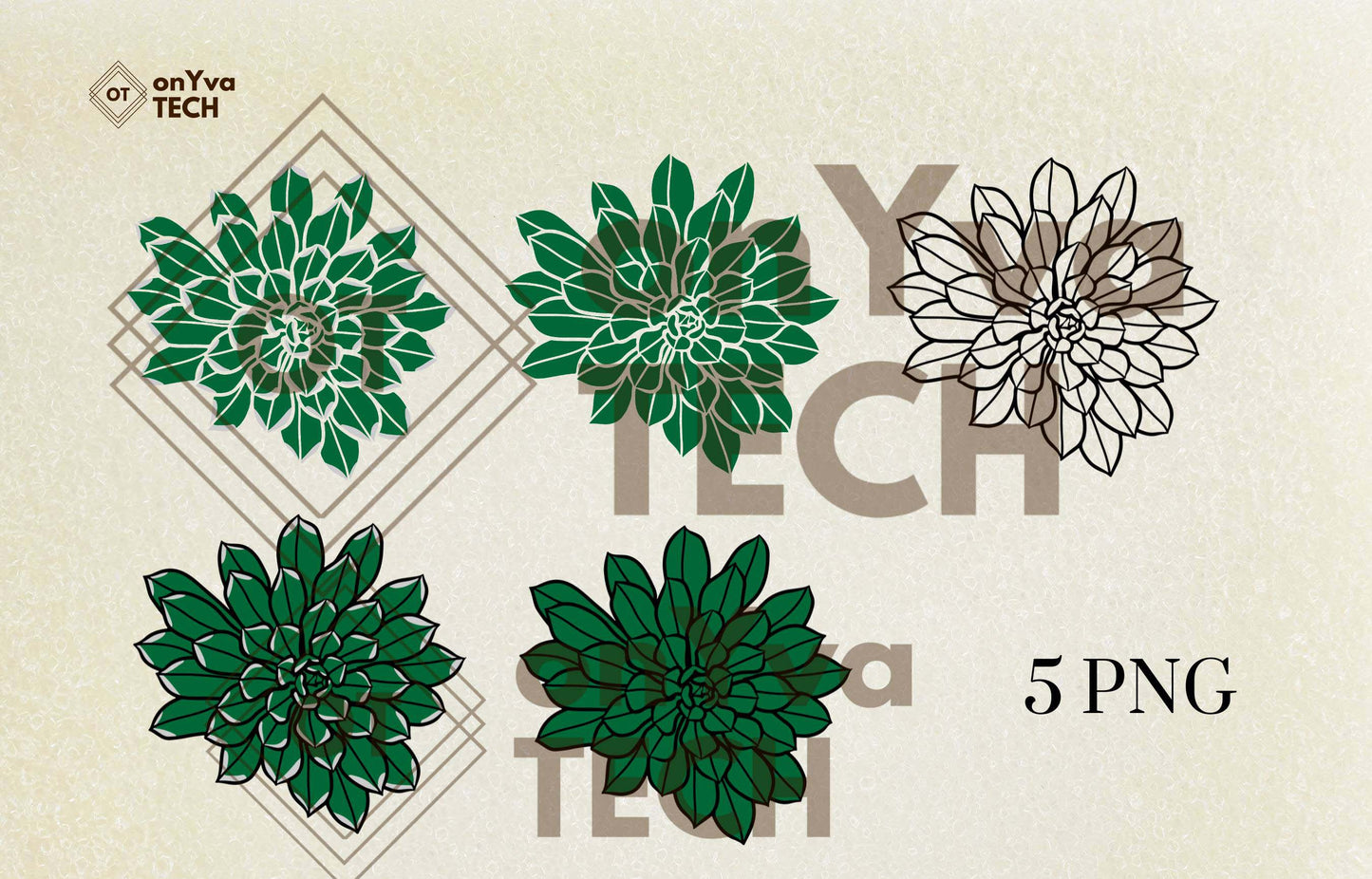 Hinahina Leaf Rosette Beach Heliotrope Plant SVG PNG | Hawaiian Nature Clipart Bundle | Digital Download