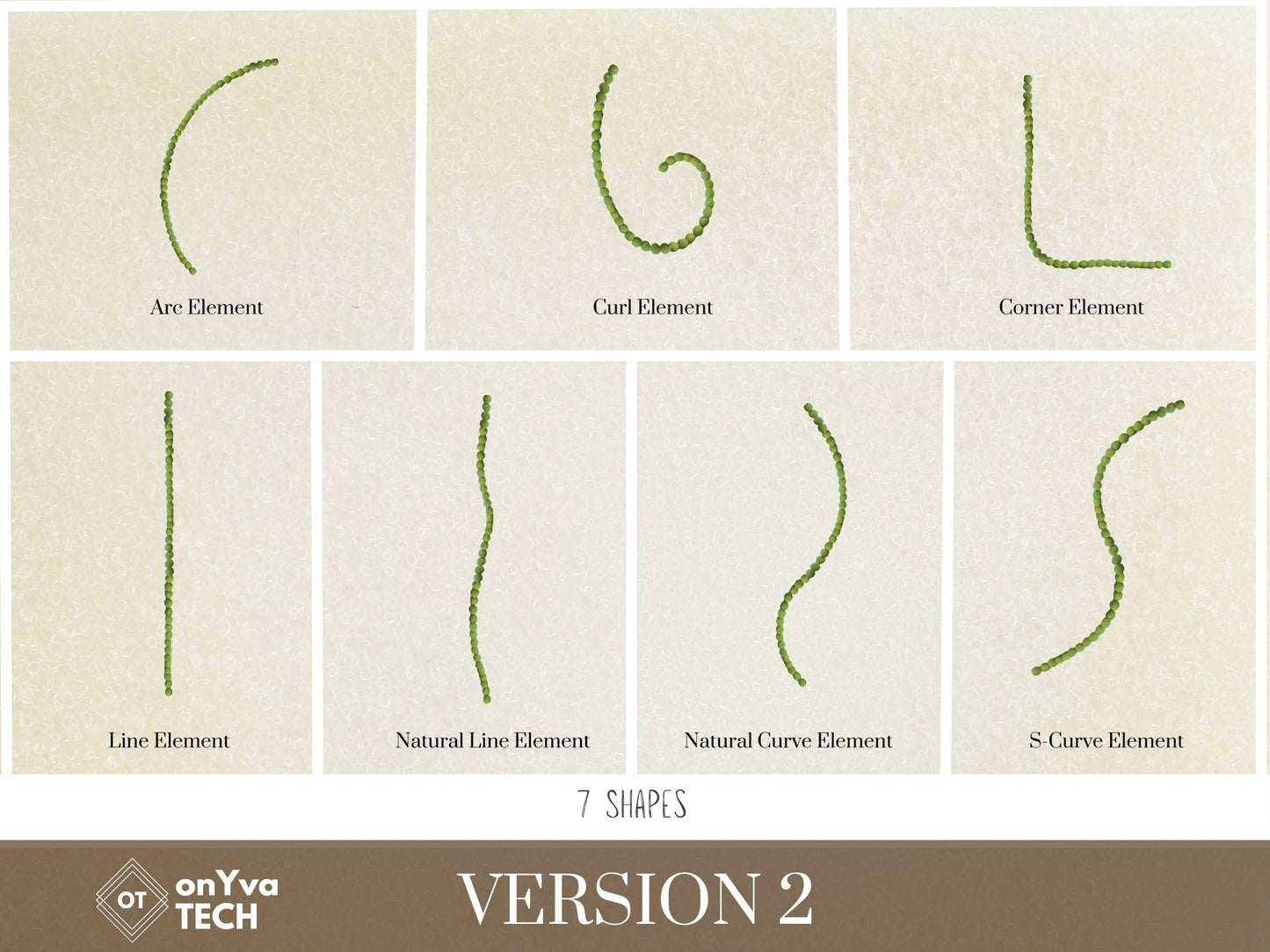 Mokihana Lei | Hawaiian PNG Decorative Element Liʻiliʻi Pack | Digital Download