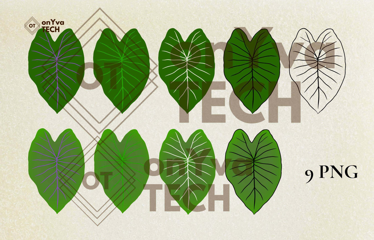Taro Leaf SVG PNG | Hawaiian Nature Clipart Bundle | Digital Download