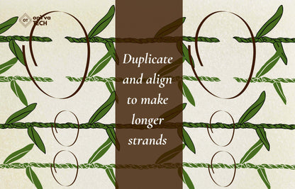 Ti Leaf Lei SVG PNG | Hawaiian Nature Clipart Bundle | Digital Download | v1