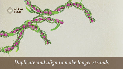 Lokelani Ti Leaf 3 Strand Twist Lei | Hawaiian PNG Decorative Element Set | Digital Download