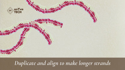 Micronesian Pink Ginger Lei | Hawaiian PNG Decorative Element Set | Digital Download