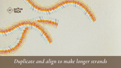 Micronesian Ginger Ilima Lei | Hawaiian PNG Decorative Element Set | Digital Download